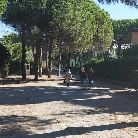 Apartman Gjiri I Lalzit *